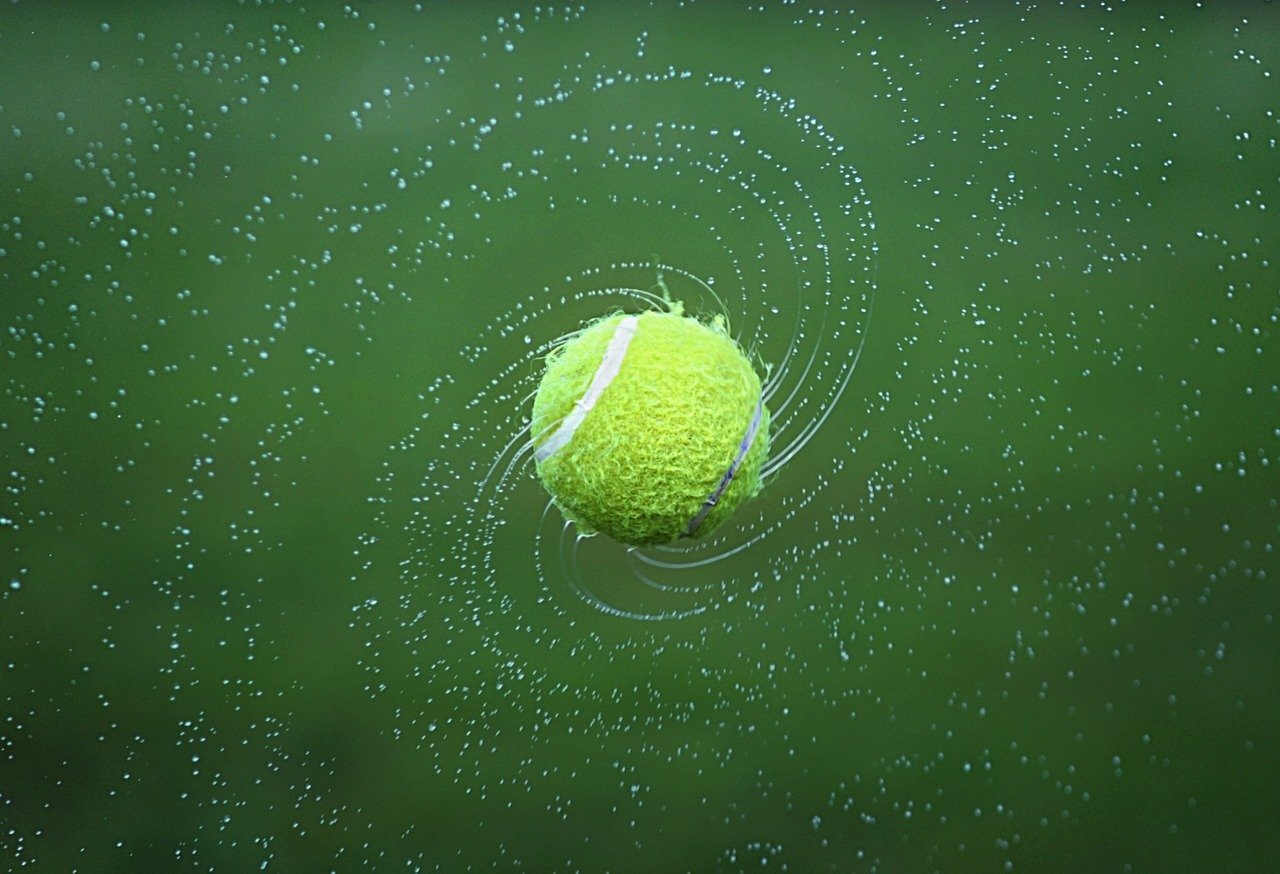 Are Women's Tennis Rankings More Volatile than Men's Rankings? — DataBuckets