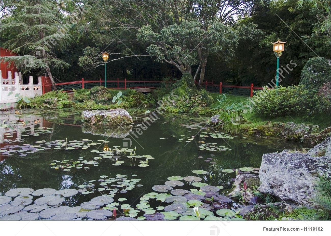 chinese-pond-stock-picture-119102.jpg