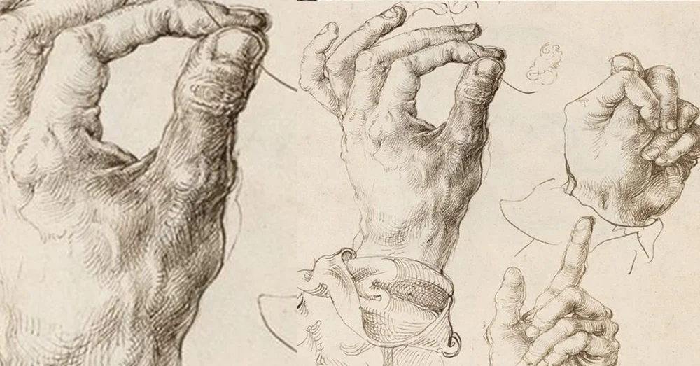 The Art of Line: Form-Contour Lines — Mind Comics