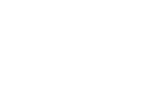 mozart2.png