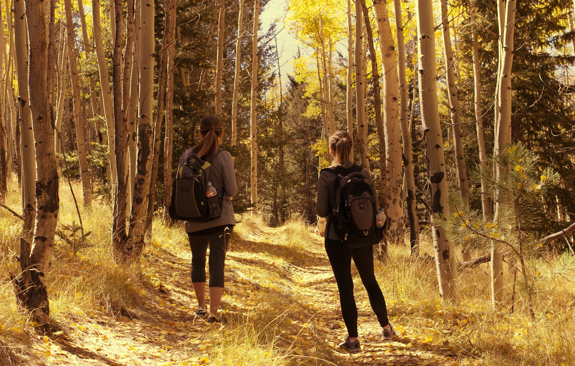 hikers.jpg
