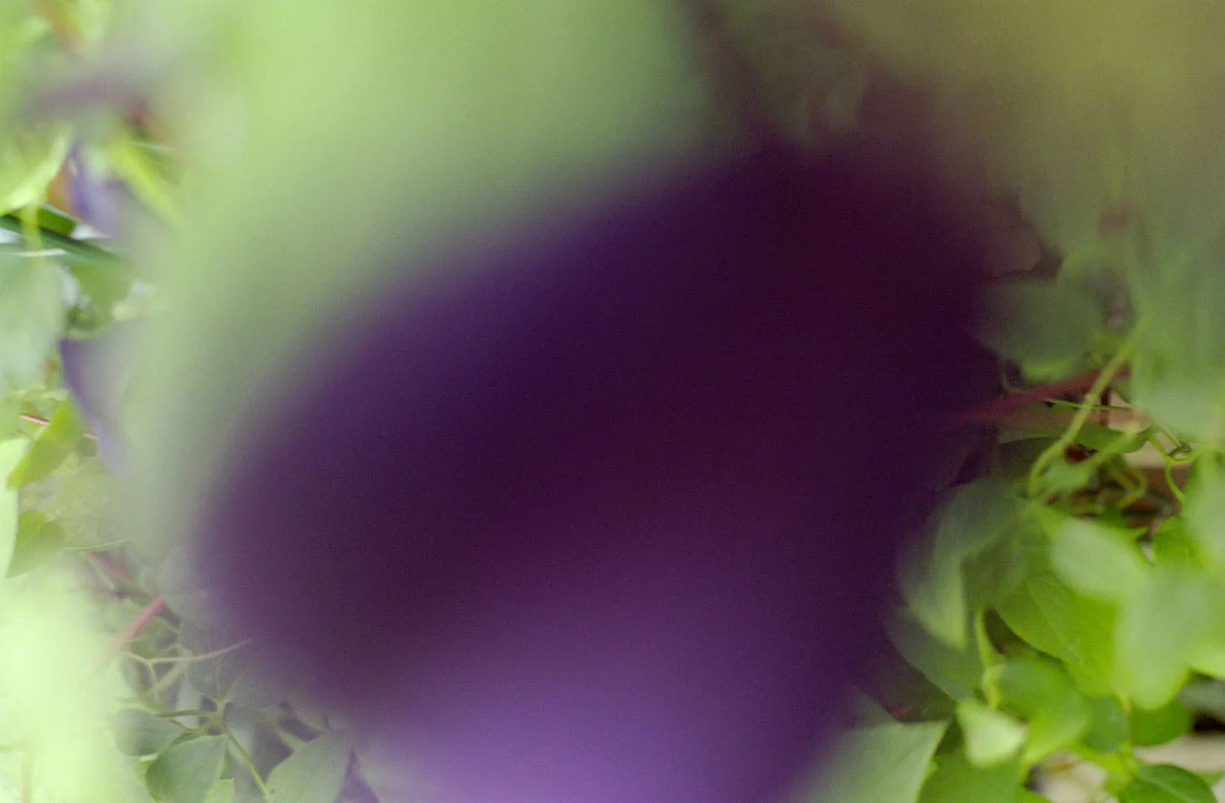 outoffocus3.jpg