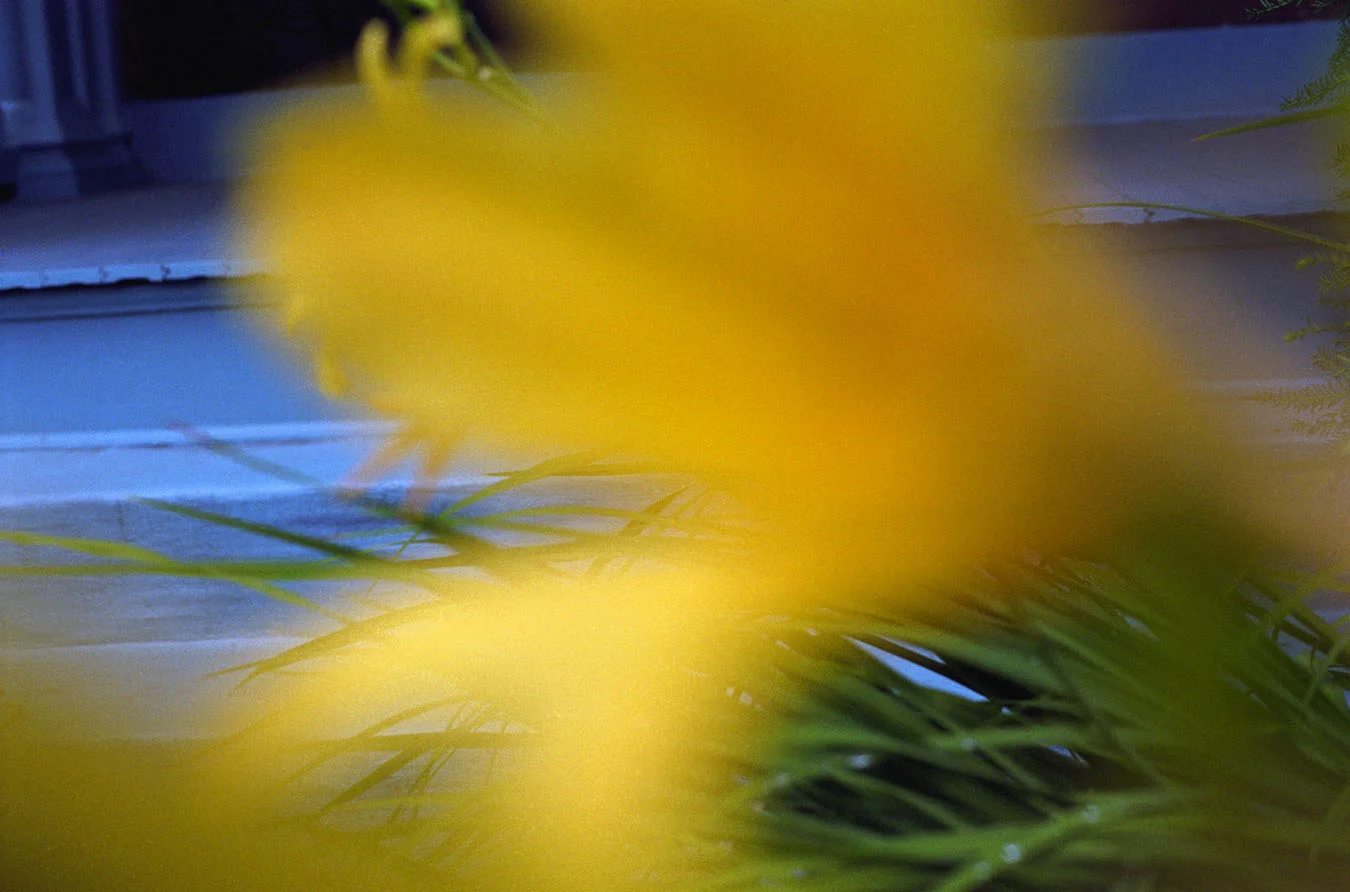 outoffocus5.jpg