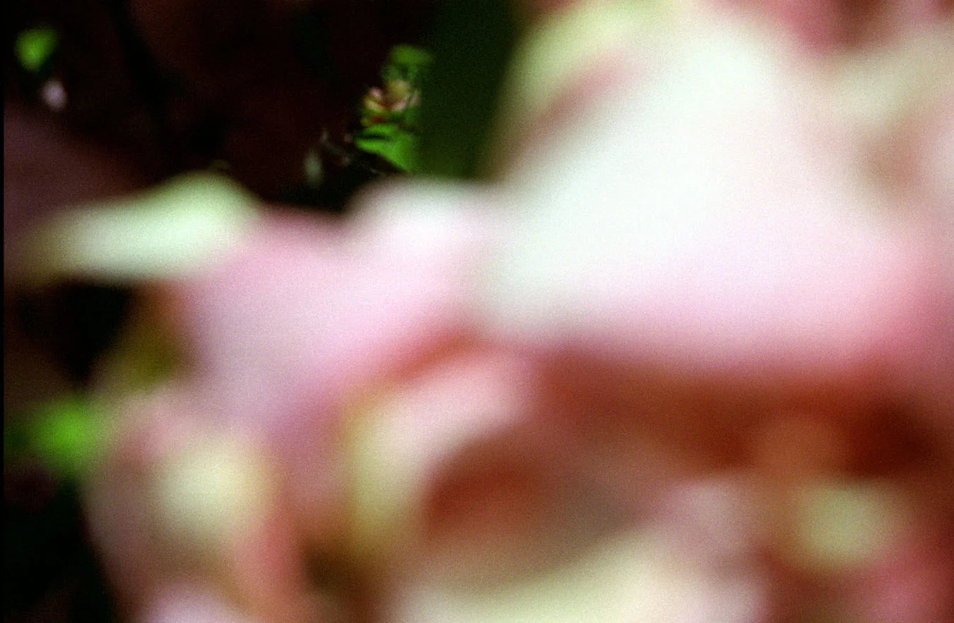 outoffocus9.jpg