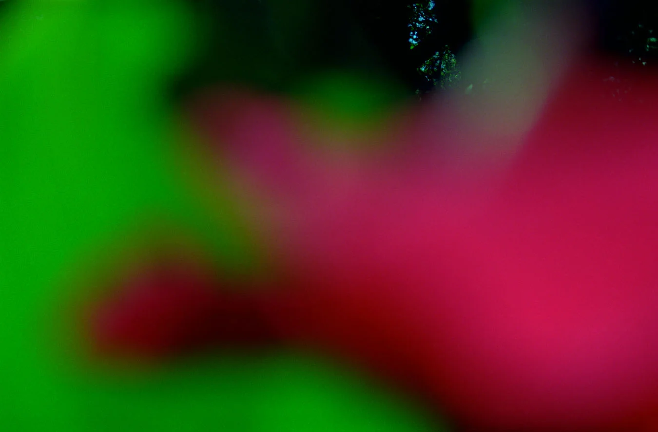 outoffocus10.jpg