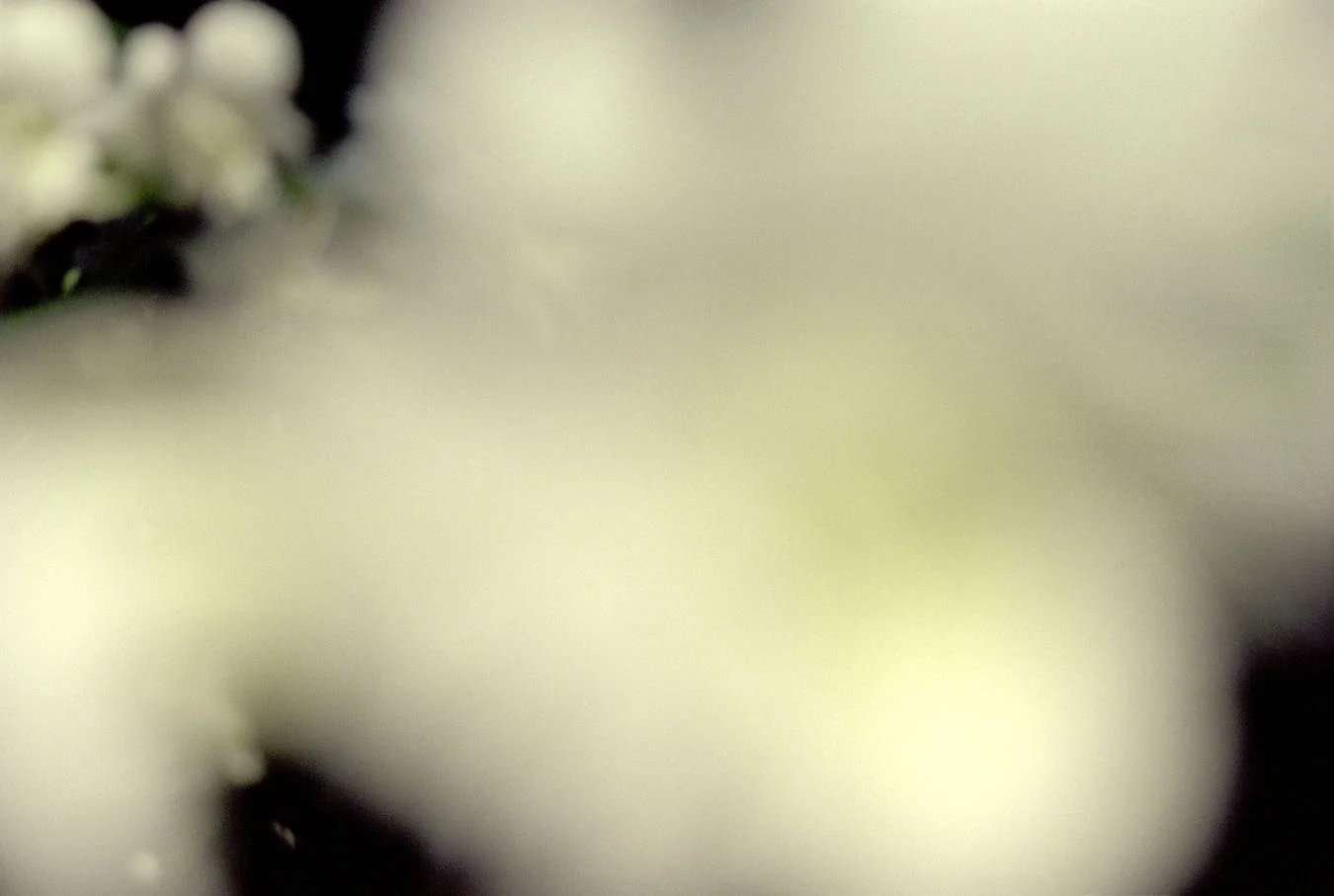 outoffocus2.jpg