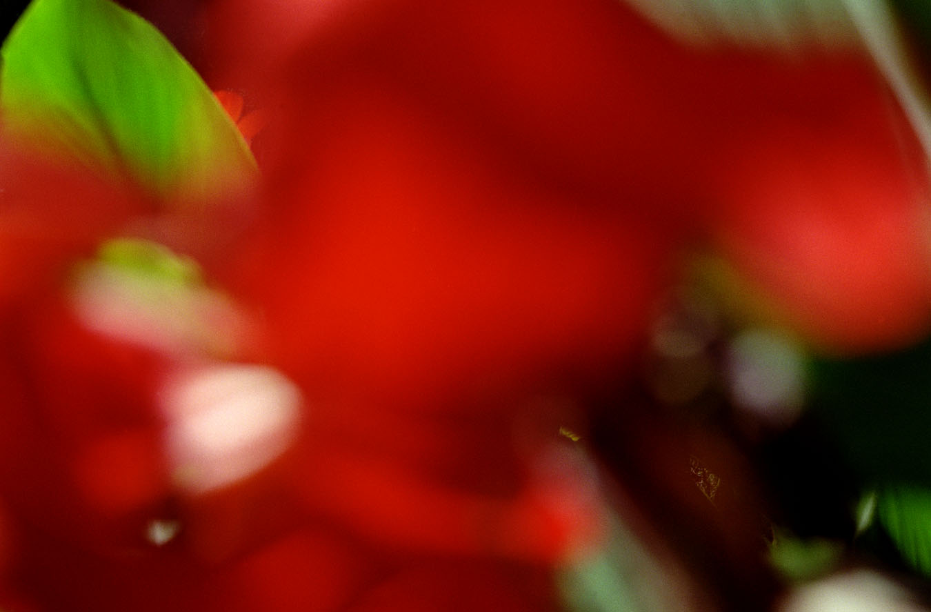 outoffocus4.jpg
