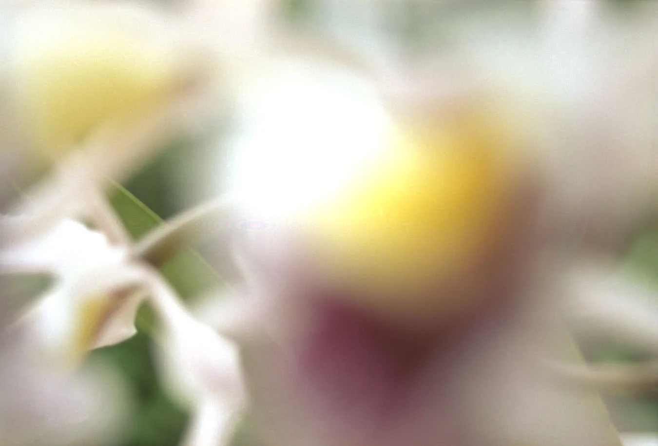 outoffocus6.jpg