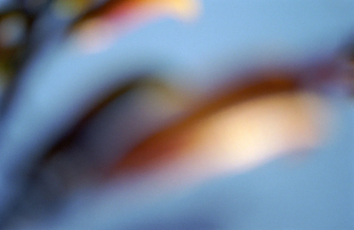 outoffocus7.jpg