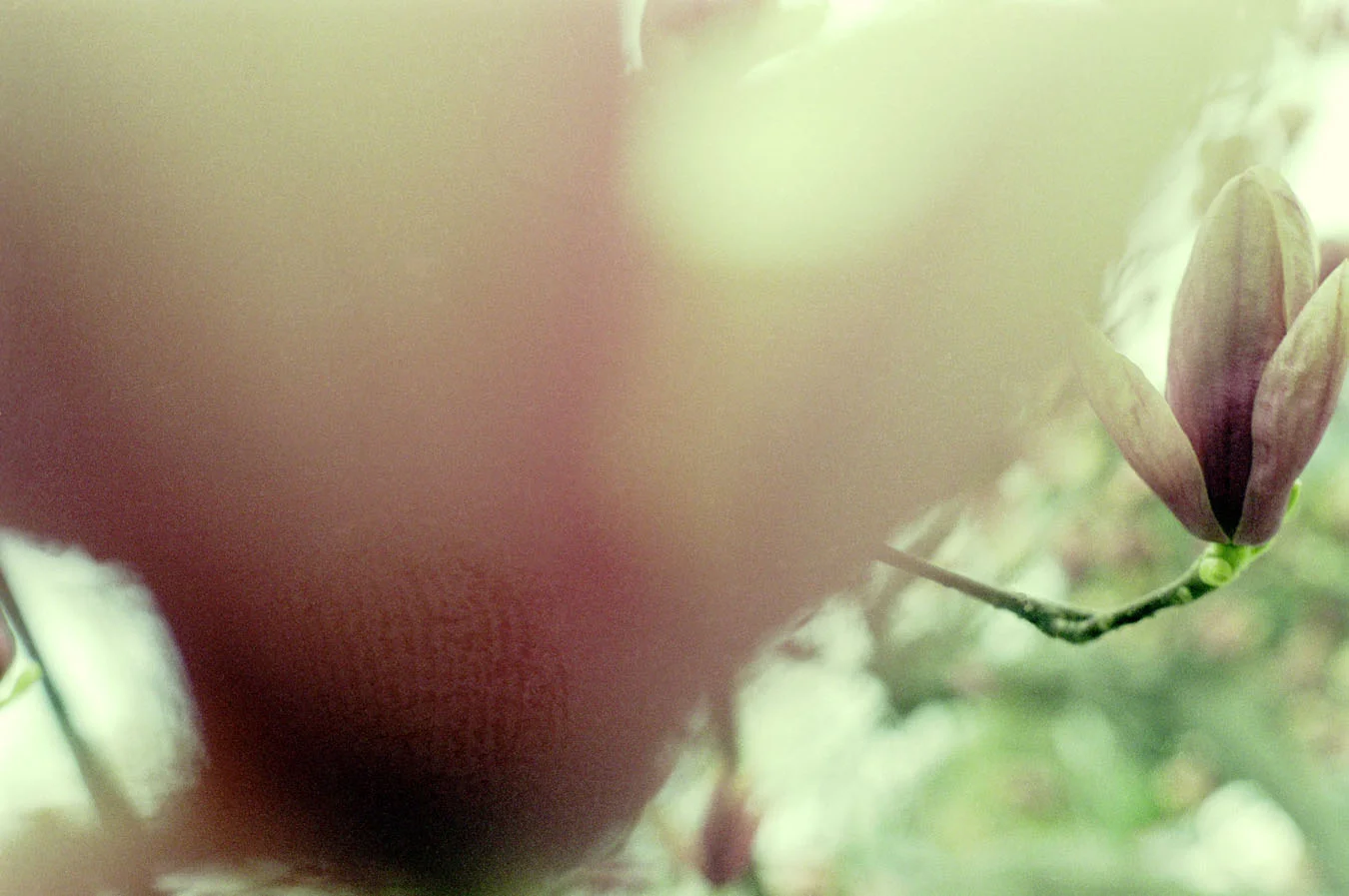 outoffocus8.jpg