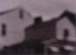 22_pittseriesbloomfhouses2.jpg