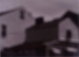 22_pittseriesbloomfhouses2.jpg