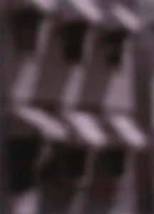 22_pittseriesbloomfawn.jpg