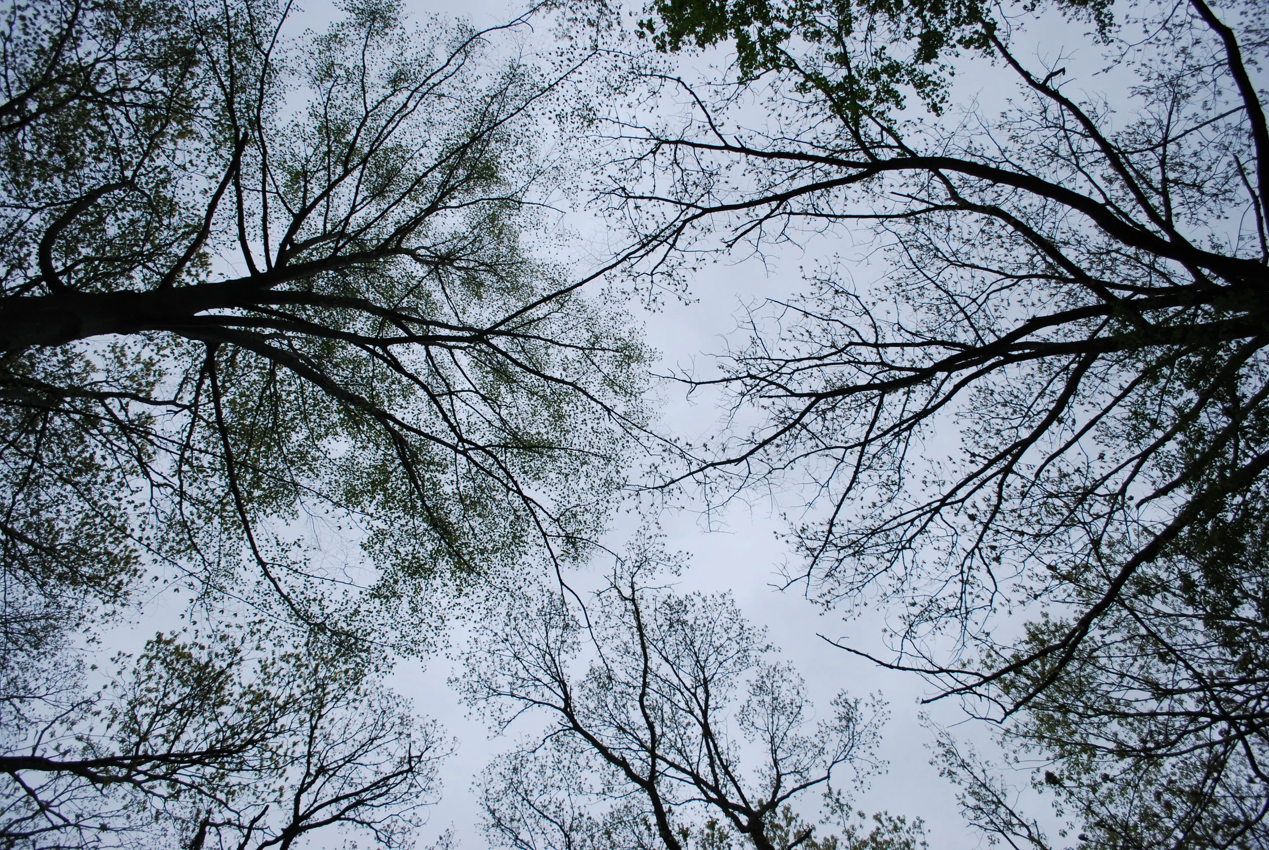 DSC_0315.JPG