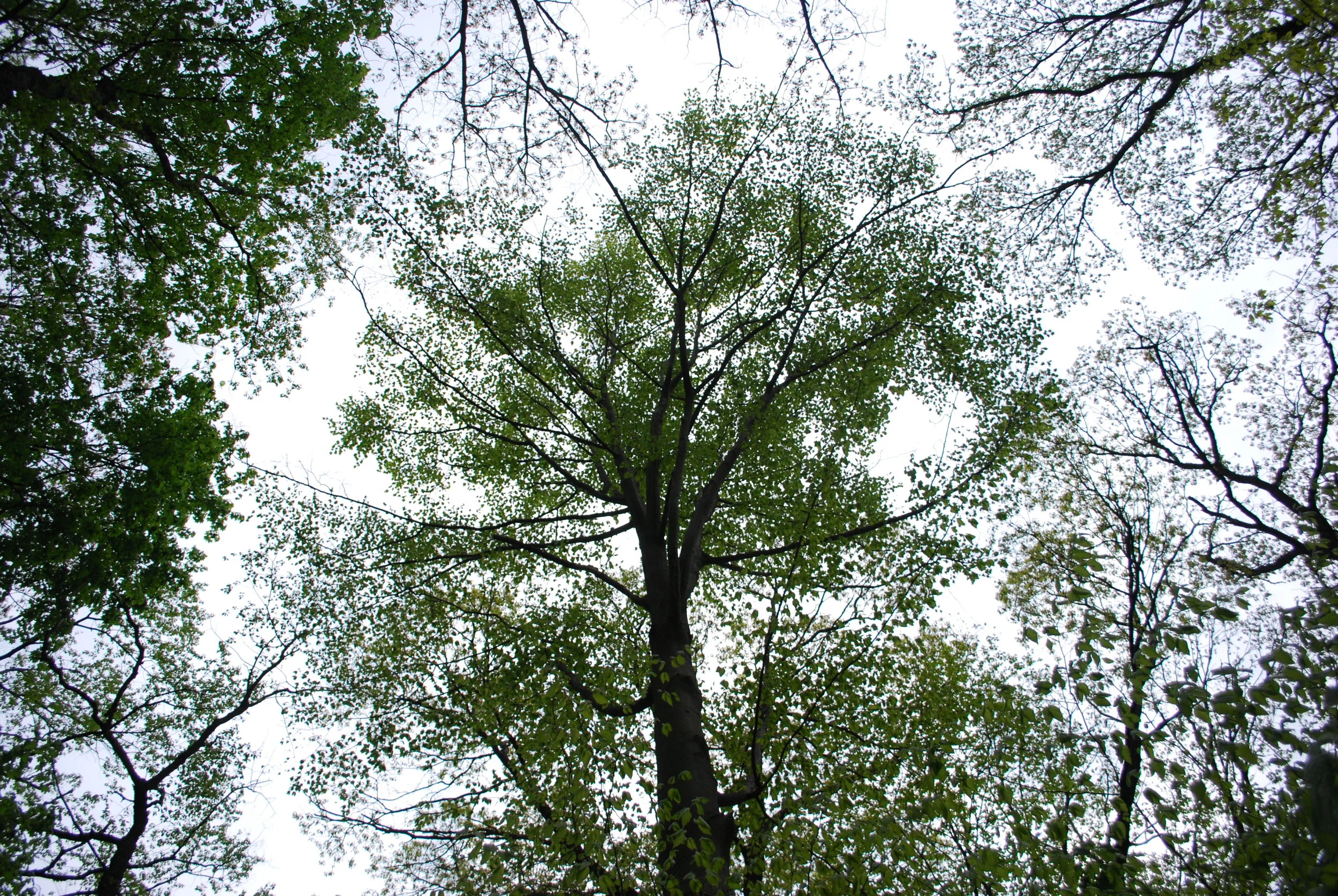 DSC_0366.JPG