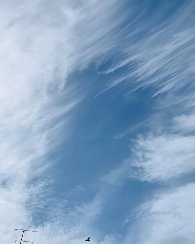 Somebody upstairs definitely smoked the good stuff ! #clouds #paintthesky #puffpuffpass