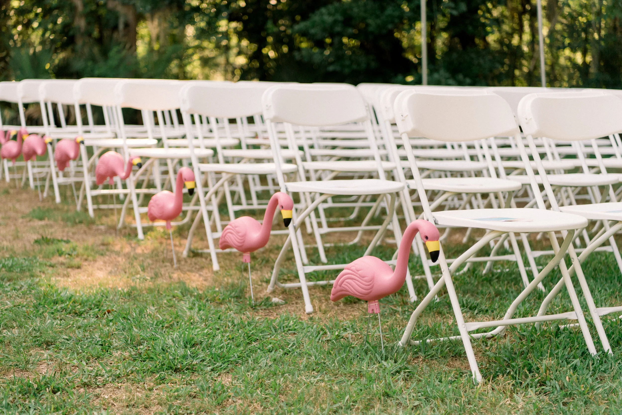 MichelleCurtis_Ceremony_003.jpg