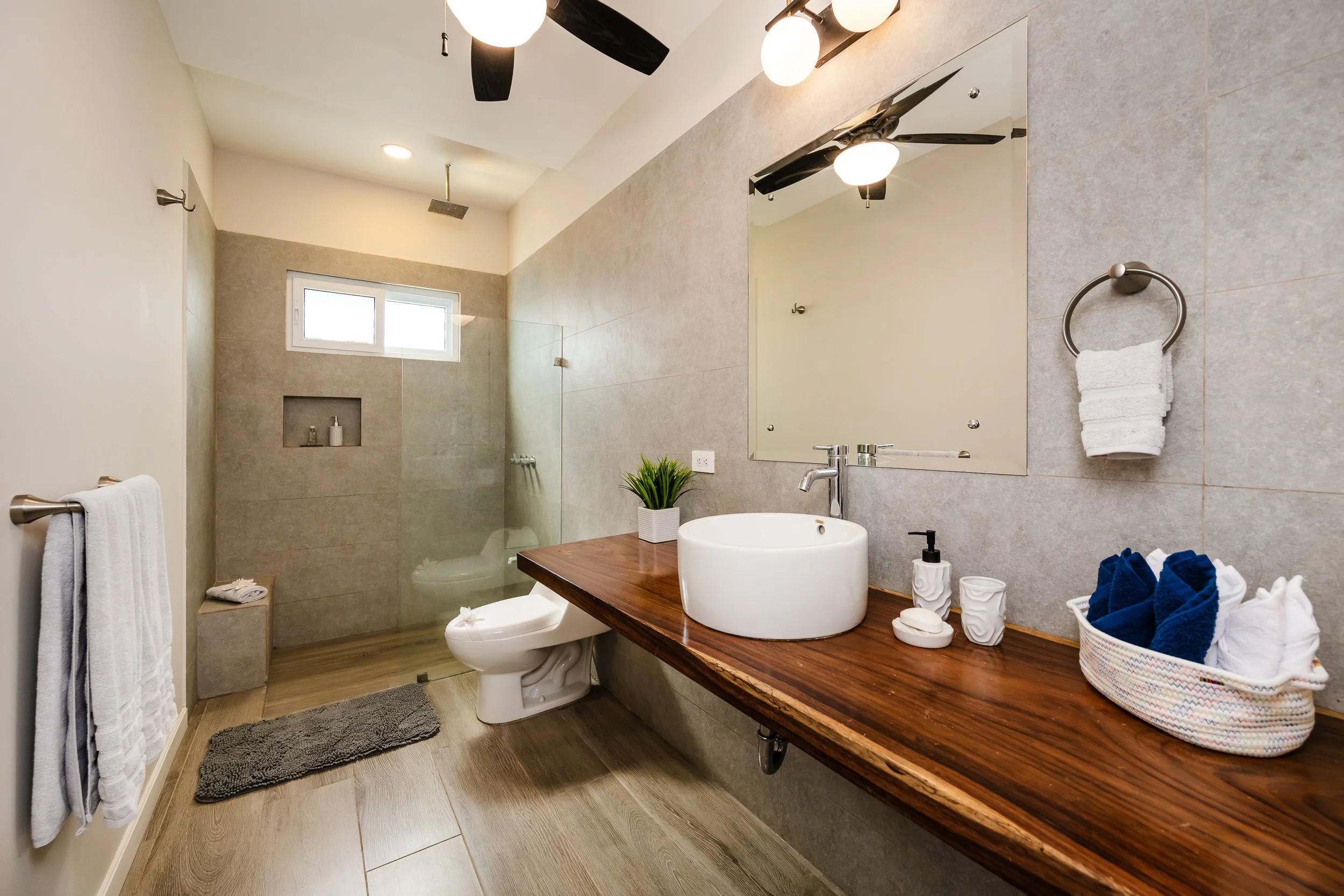 (c) Bidrop -2026-03-19-092350.jpg