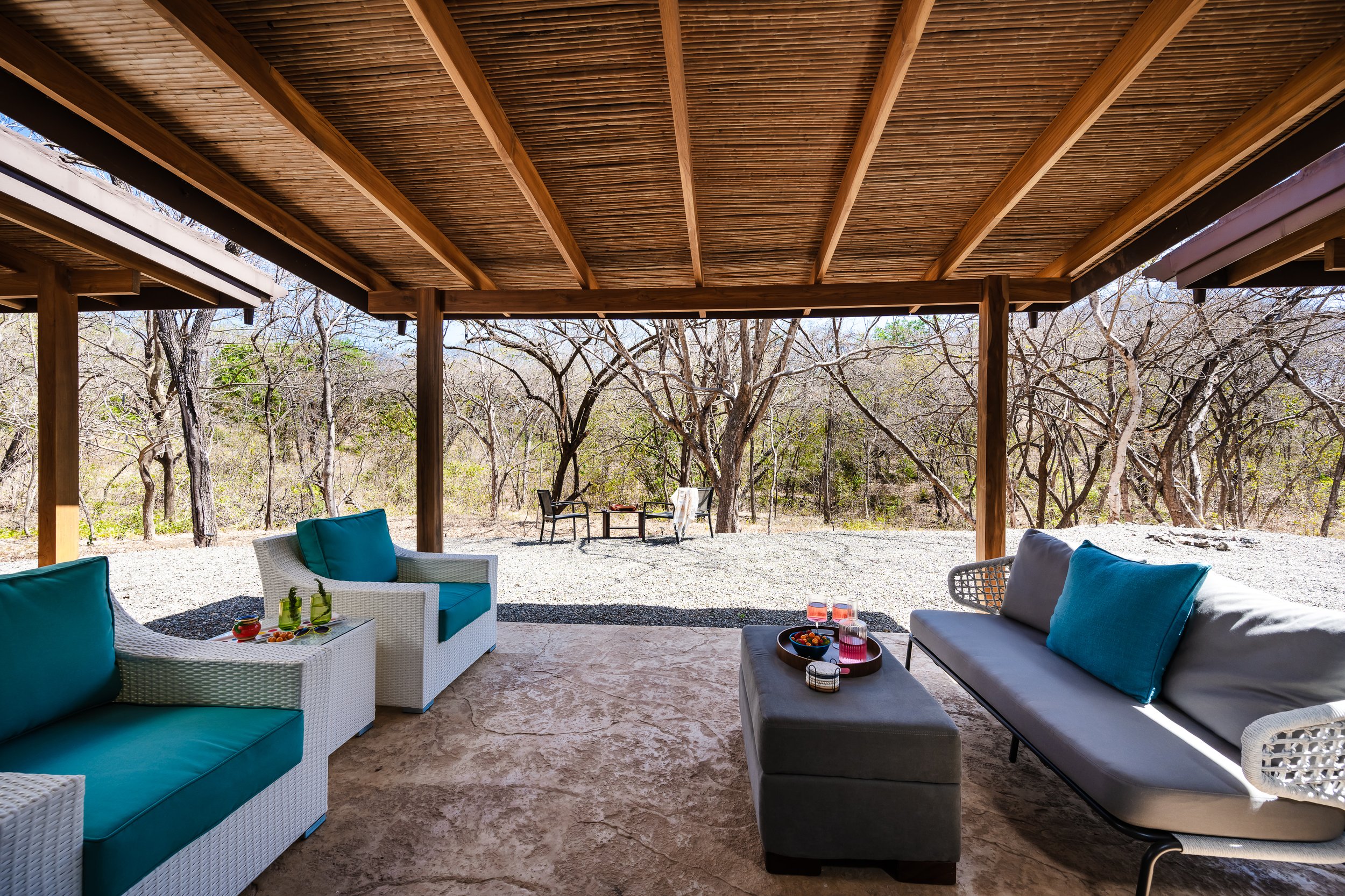 (c) Bidrop -2026-03-19-101159.jpg