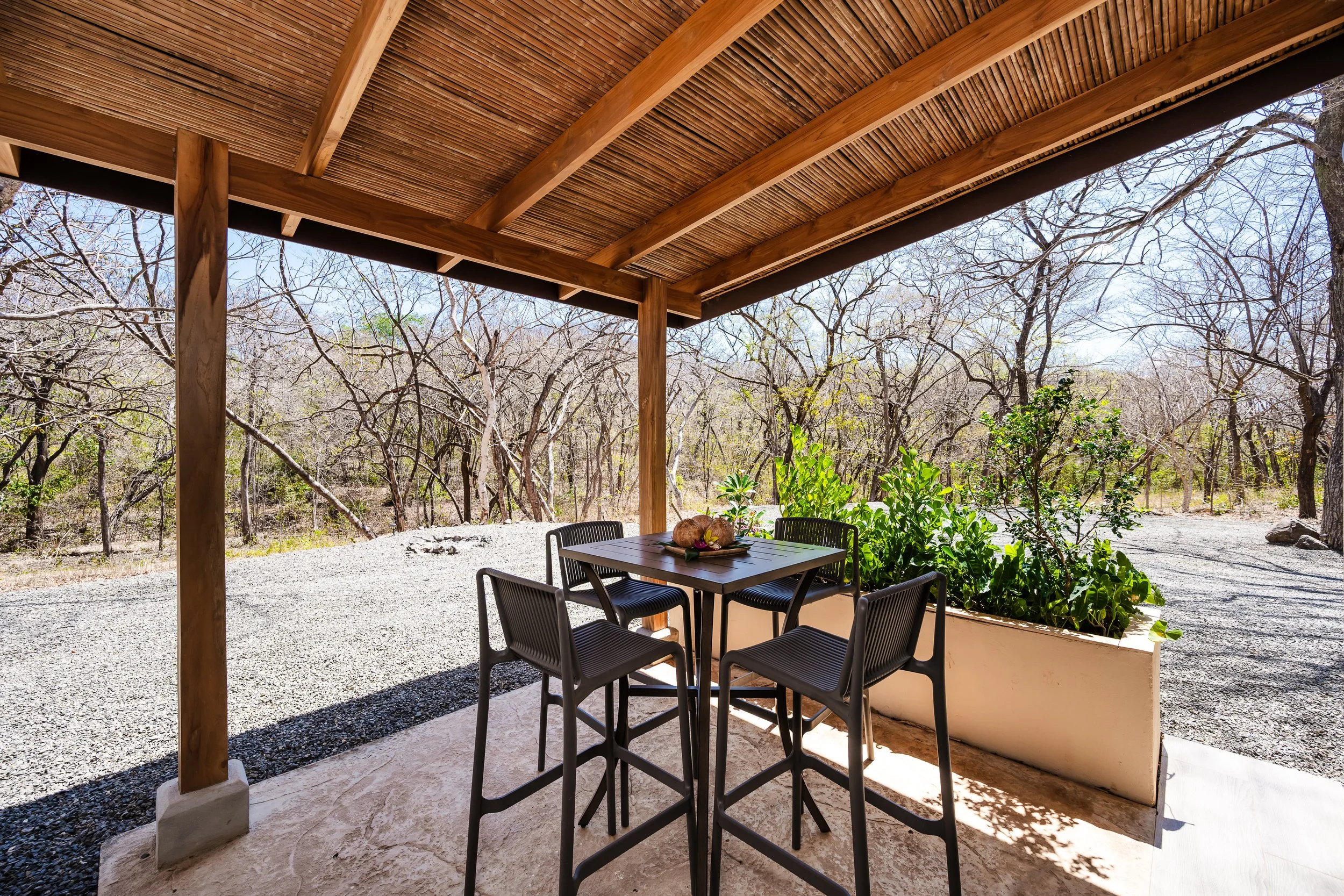 (c) Bidrop -2026-03-19-102127.jpg