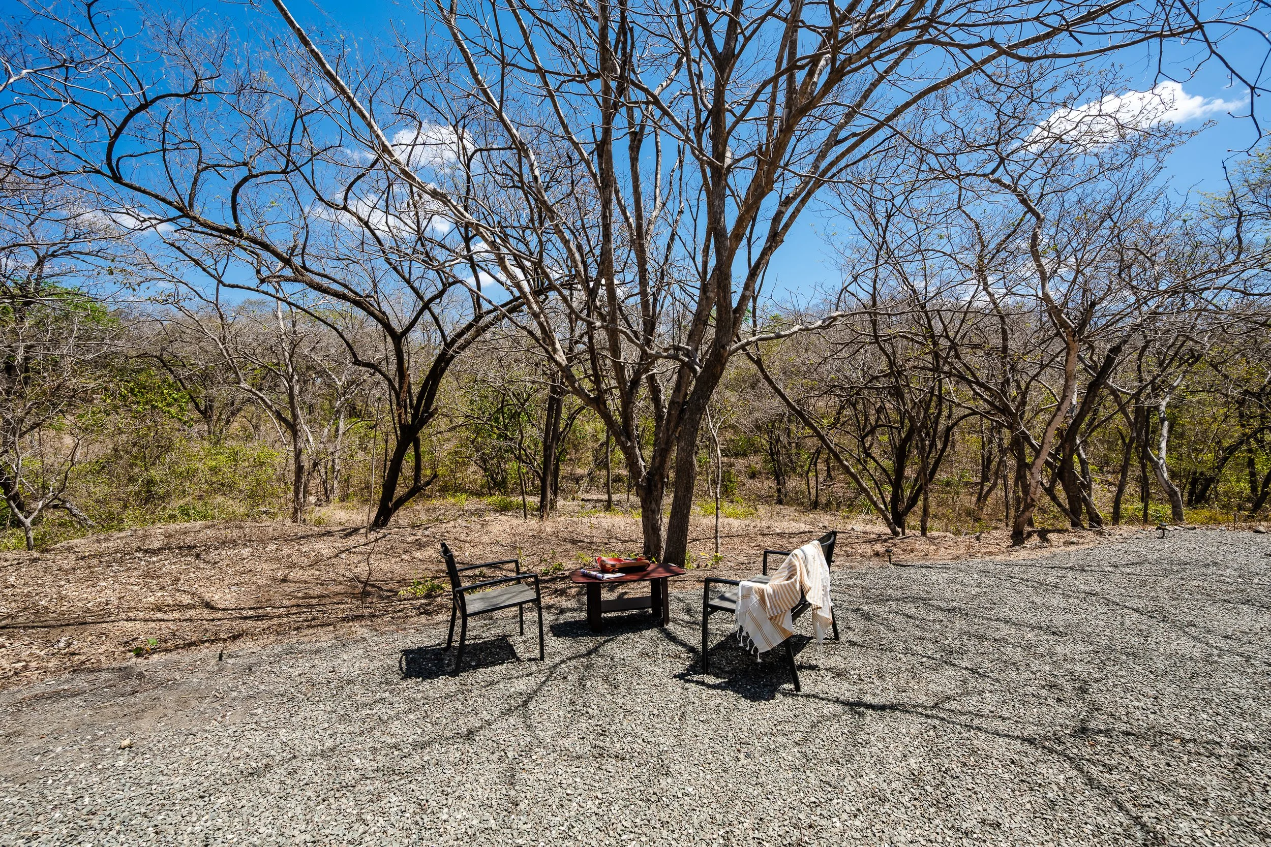 (c) Bidrop -2026-03-19-104617.jpg