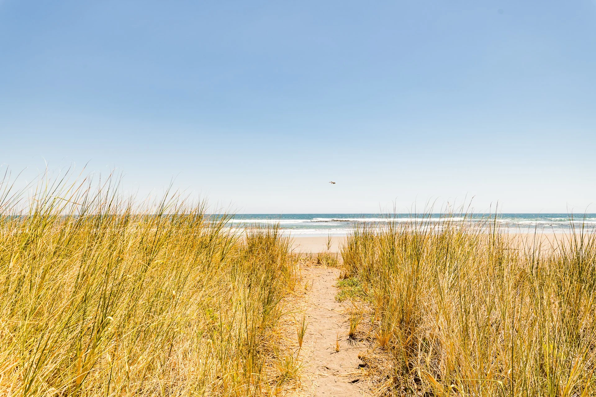 (c) bidrop.com-2020-03-27-124553 - (96).jpg