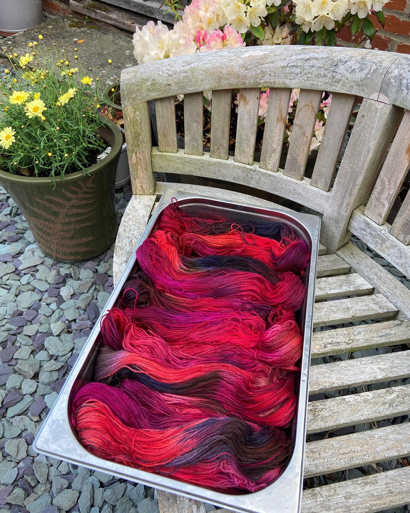 A new batch of Carminella has now landed. It&rsquo;s just drying and will be in store tomorrow. #yarnstore #yarn #yarnlove #yarnaddict #yarnlover #yarnspirations #yarnsnob #yarnsofinstagram #knittersofinstagram #knitting #knittingaddict #knittinginsp