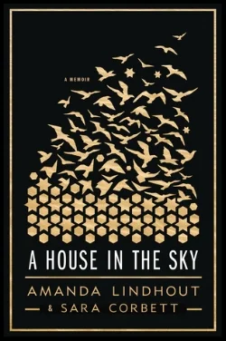a-house-in-the-sky.jpg
