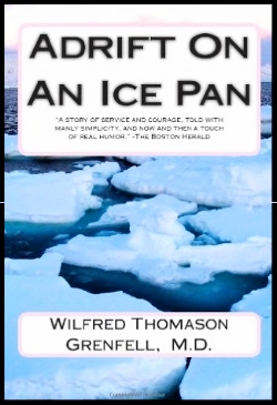 adrift on an ice pan