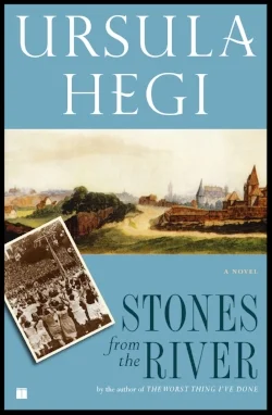 stones-from-the-river.jpg