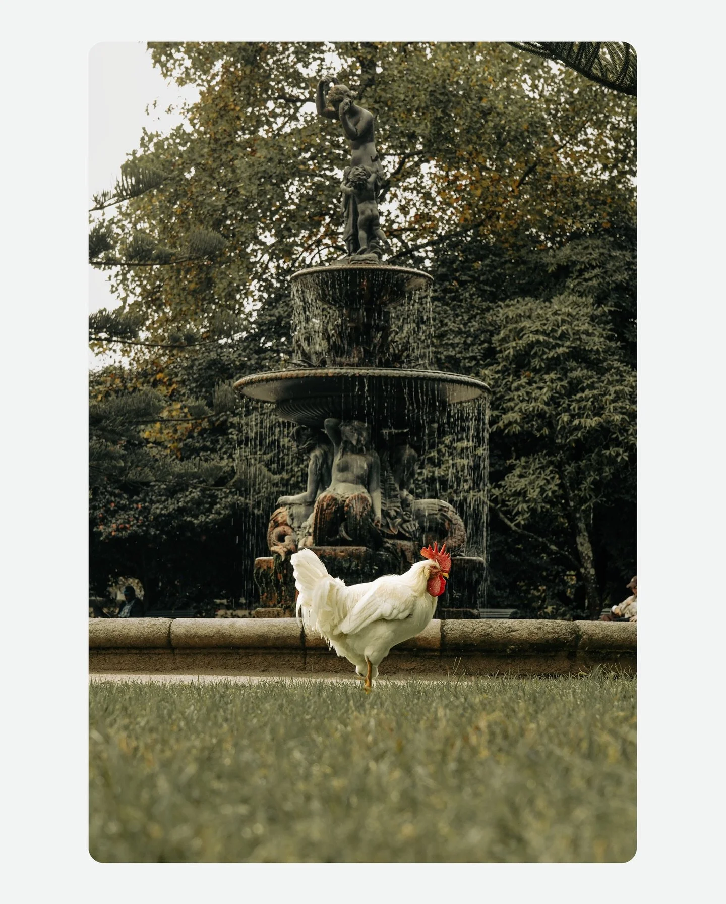 Big Man.

nobody questions Big Man.

#streetphotography
#visualstorytelling
#moodyframes
#cinematicphotography
#everydaymagic