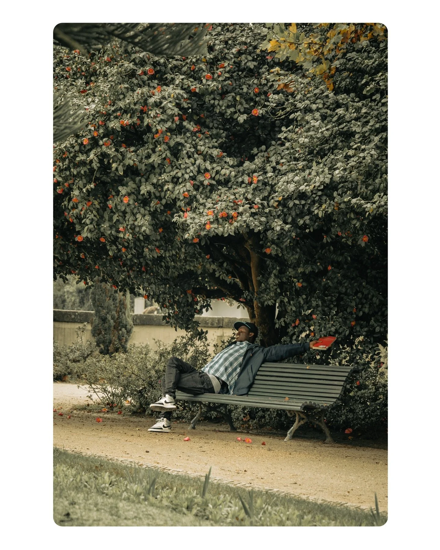 Under Camellia.

Caught in a quiet moment under a camellia tree that felt bigger than the whole park.

#camelliatree
#gardenportrait
#cinematicportrait
#quietmoments
#natureportrait