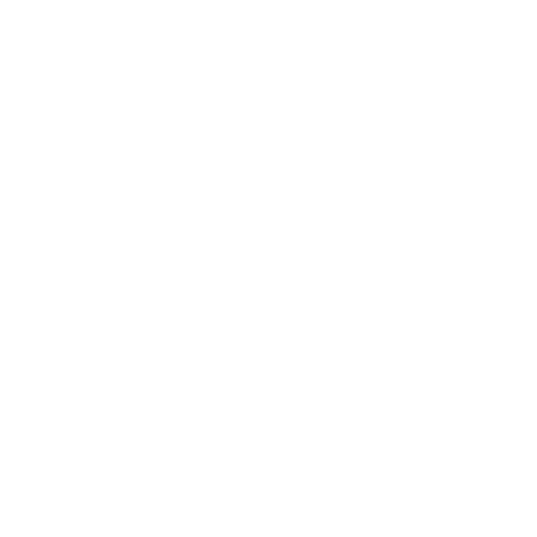 The Tampa Bay Storm