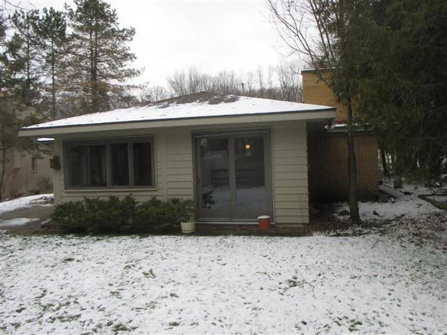 backyard.jpg