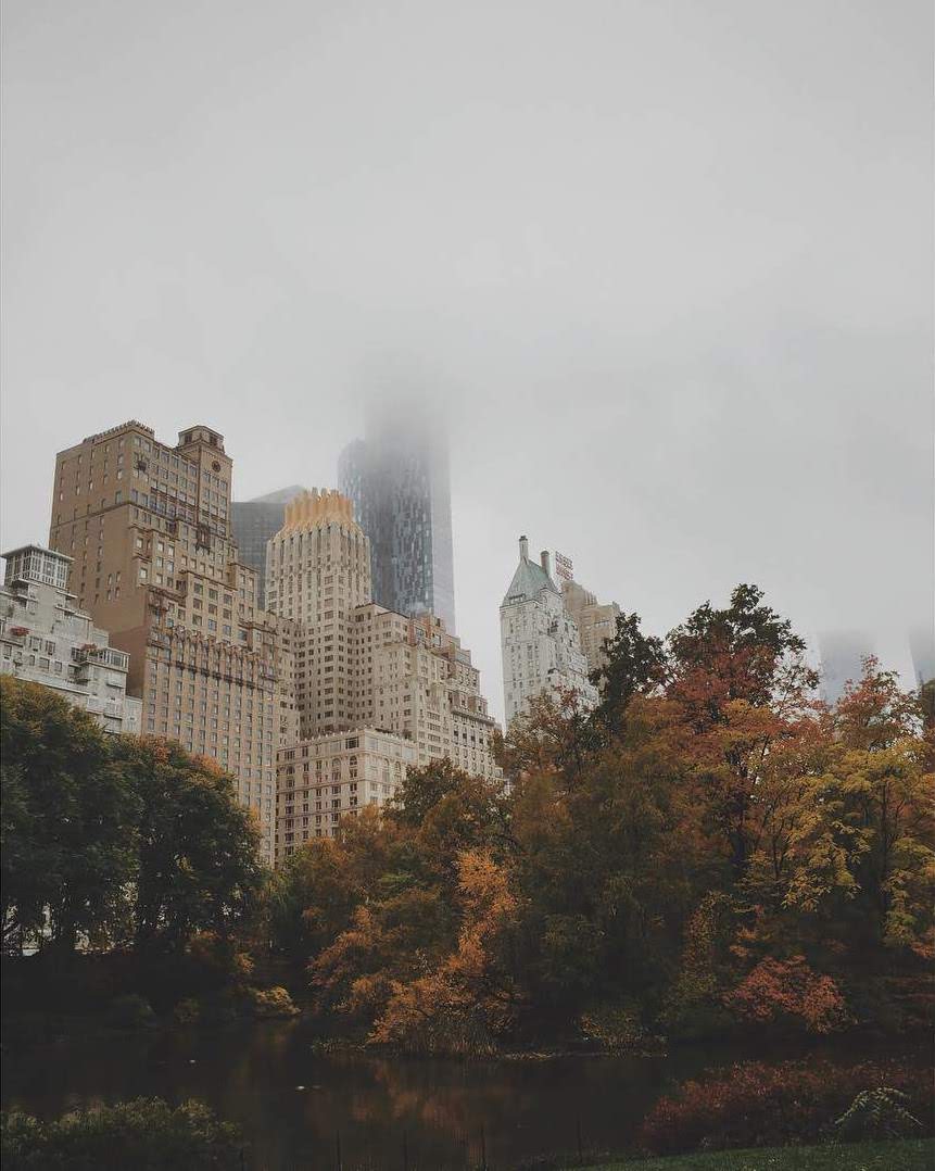 2015-11-07 15.35.25 1113239618820347891_229442916.jpg