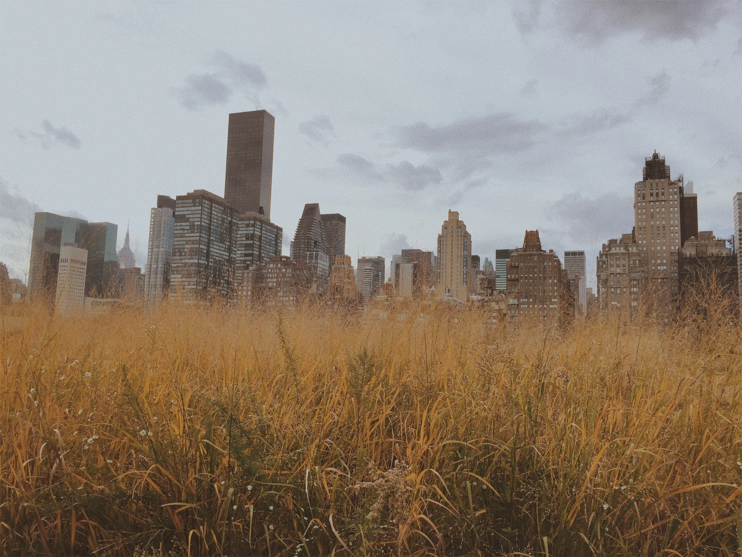 JPEG image-9AEF25520D18-5.jpeg