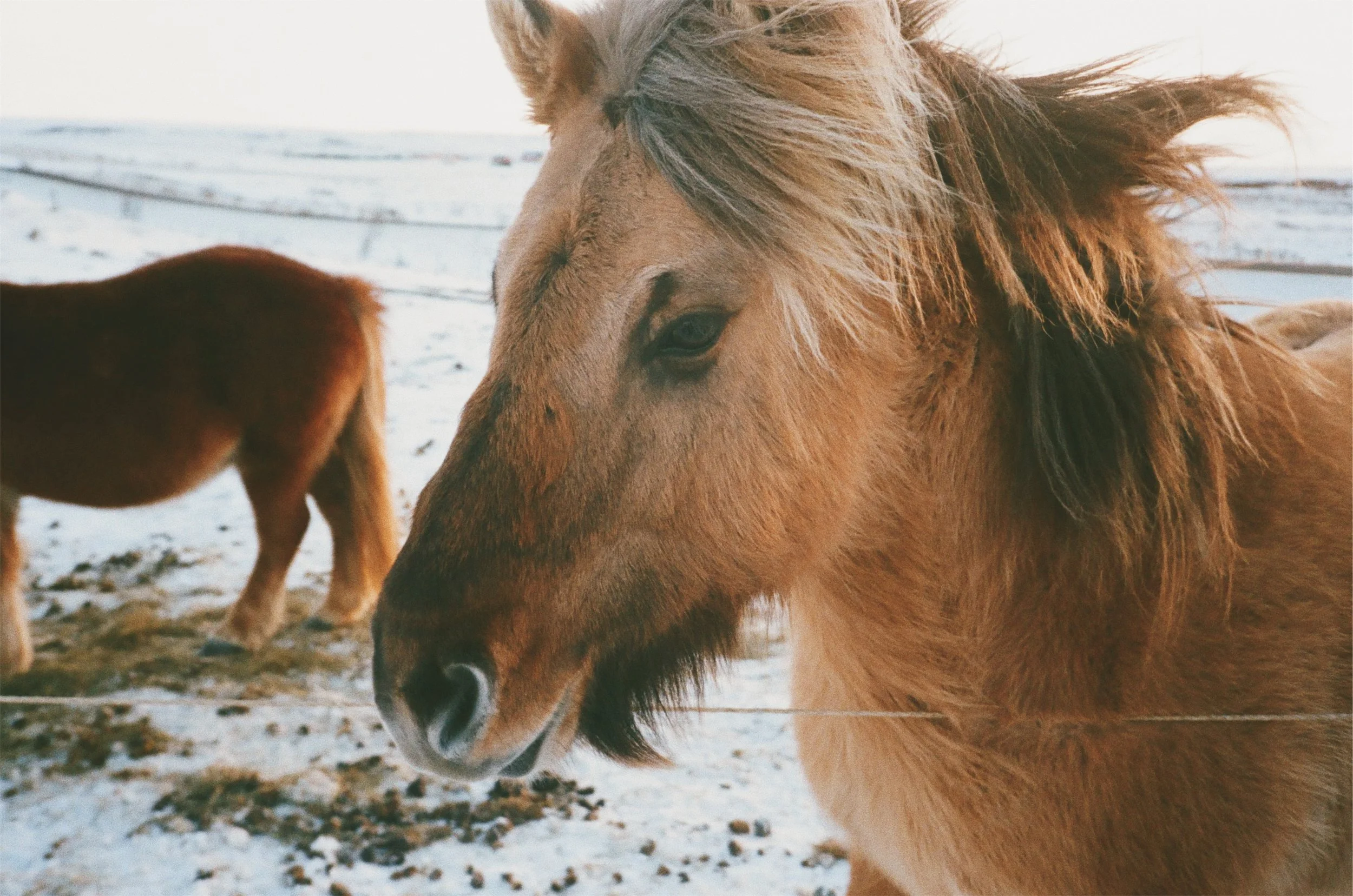 JPEG image-9AEF25520D18-6.jpeg