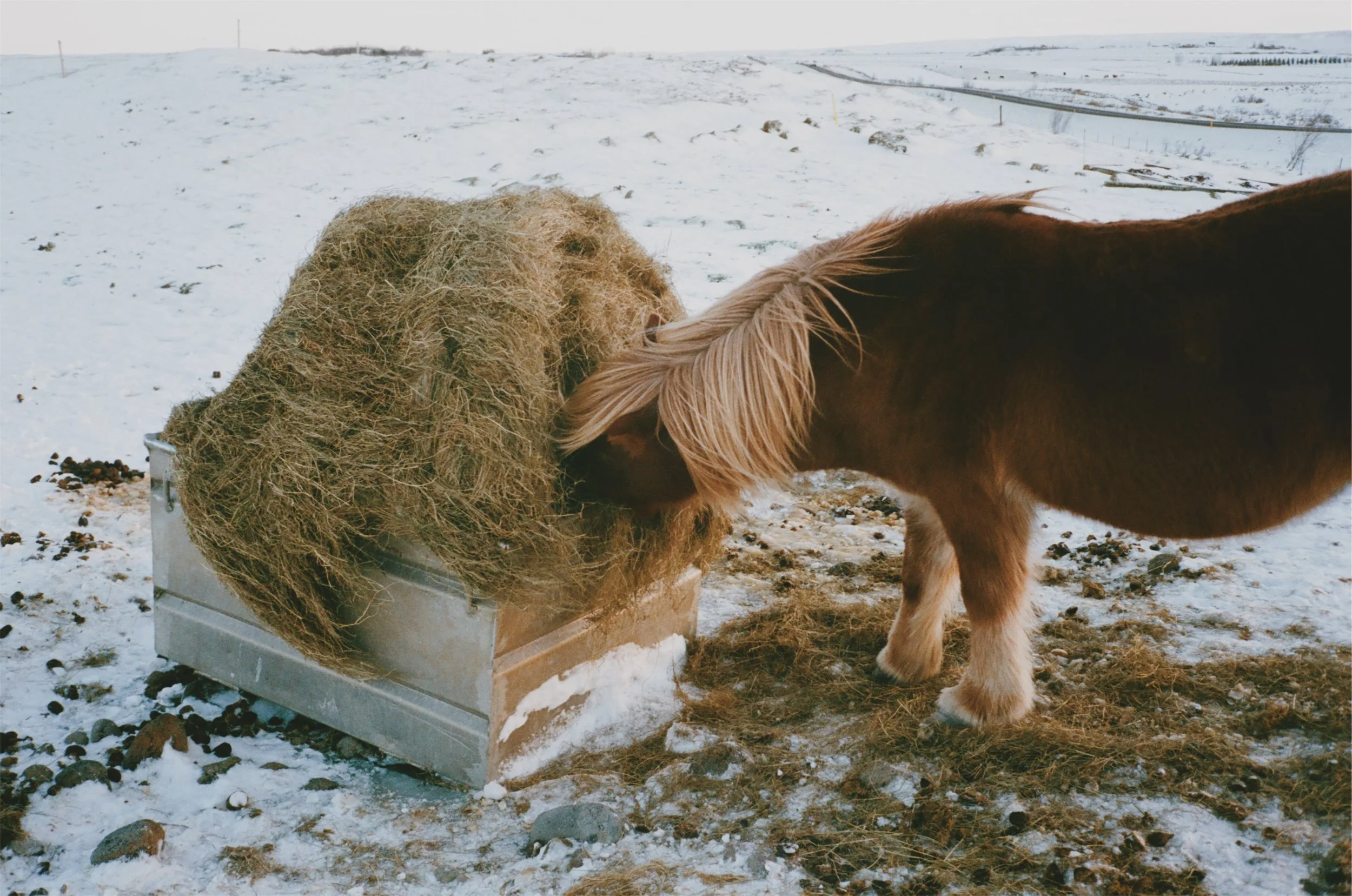 JPEG image-9AEF25520D18-10.jpeg