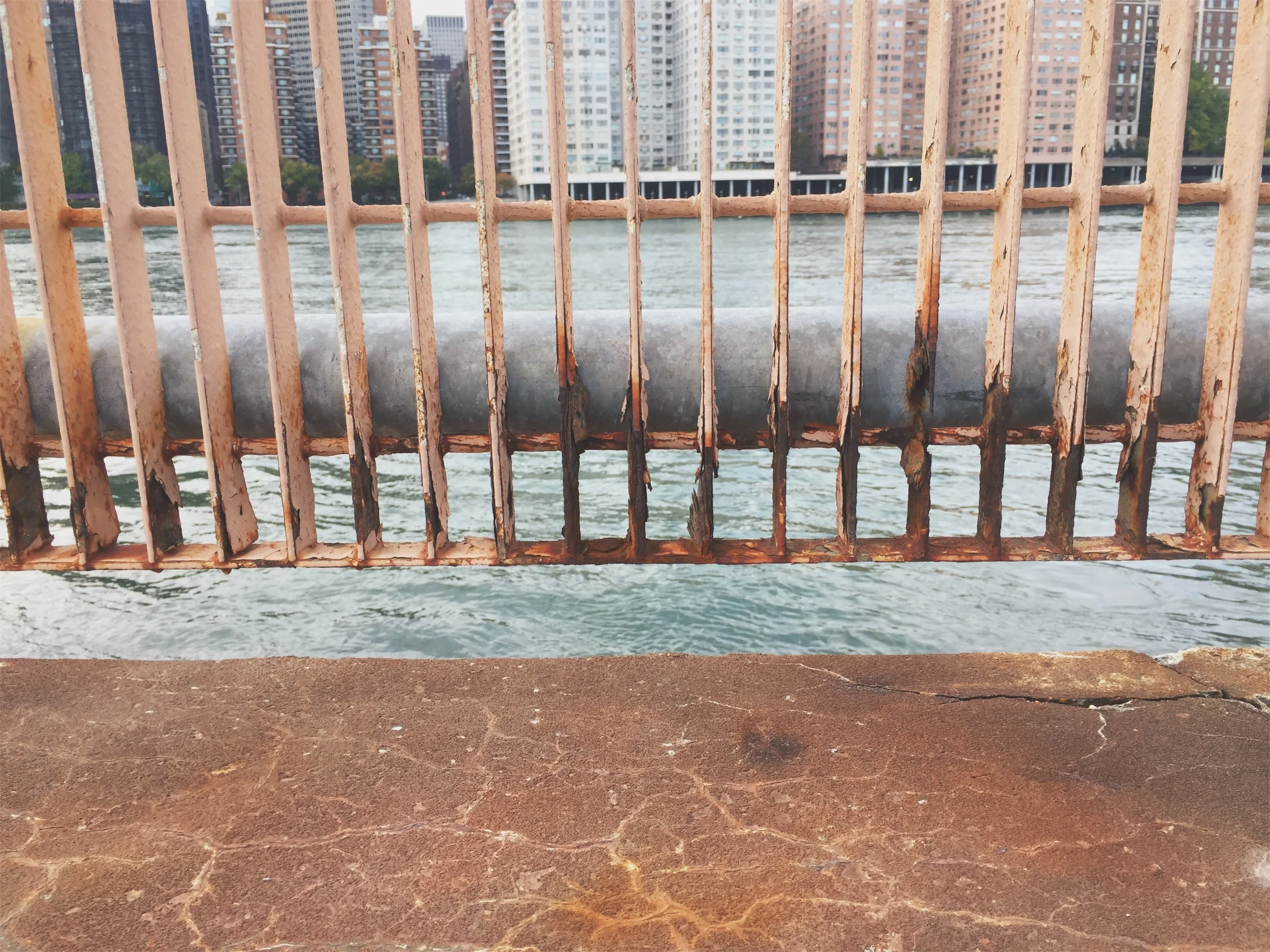 JPEG image-9AEF25520D18-17.jpeg