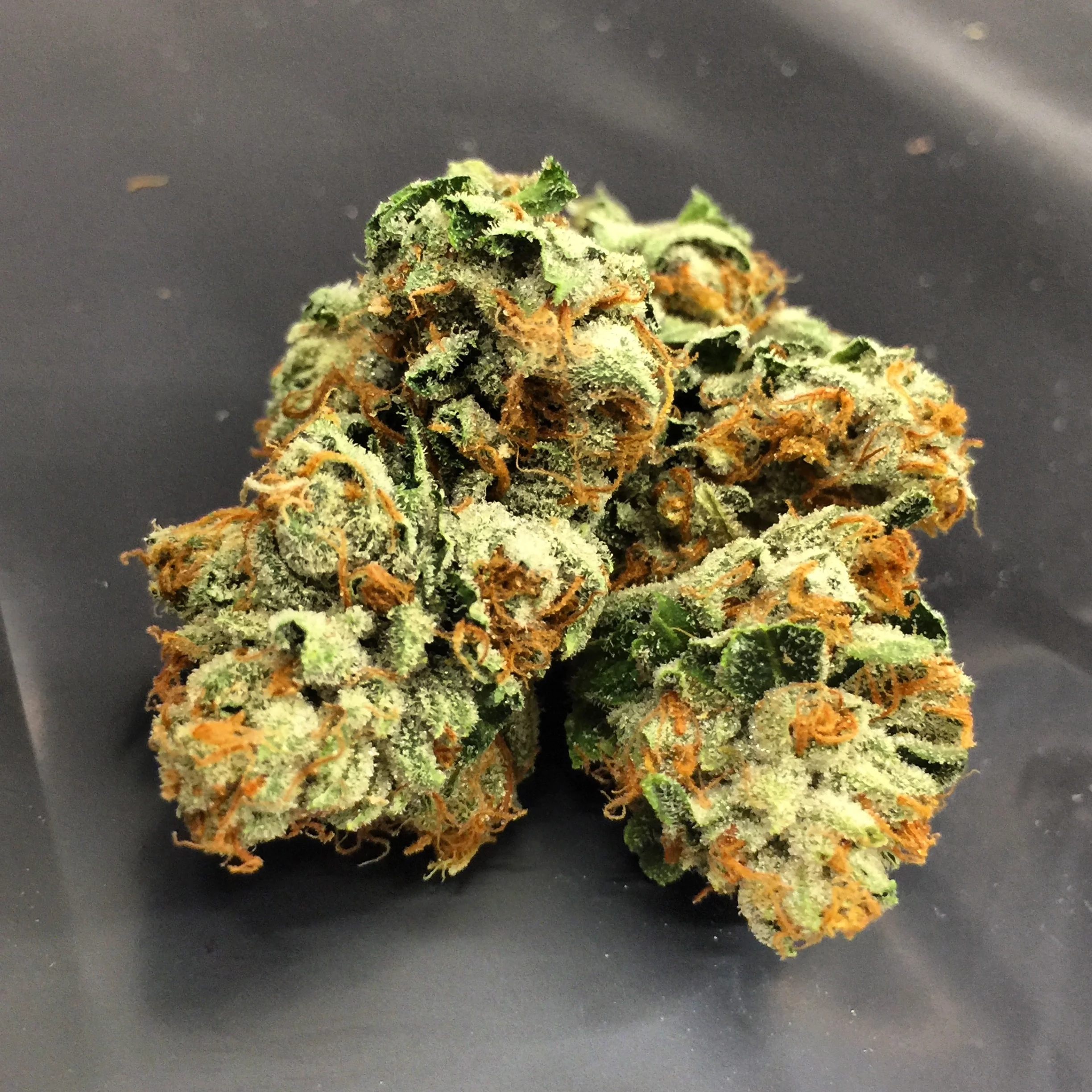 Boss OG.JPG