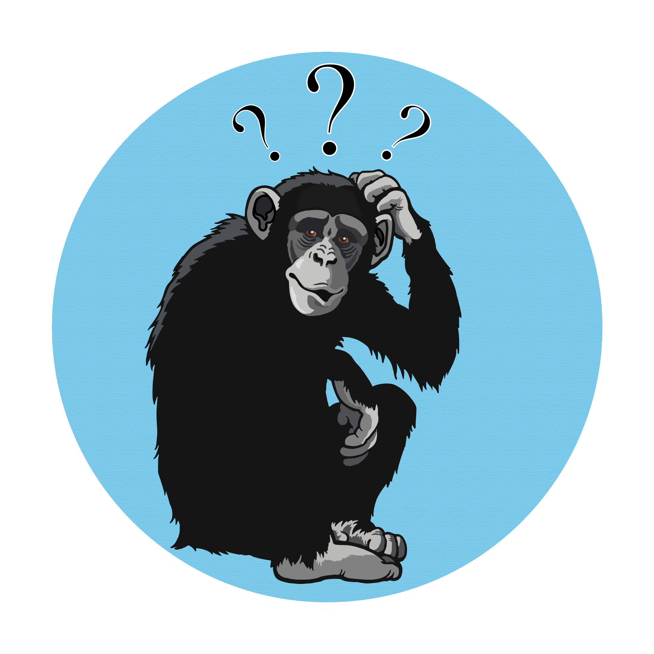 Confused Bonobo_Hannah Newey.png