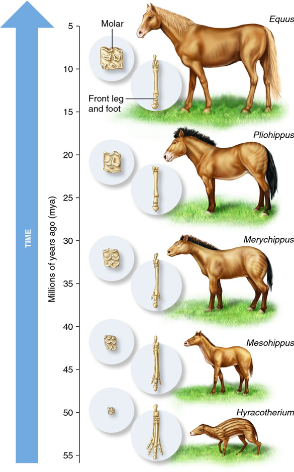 Image by Studyforce.com
