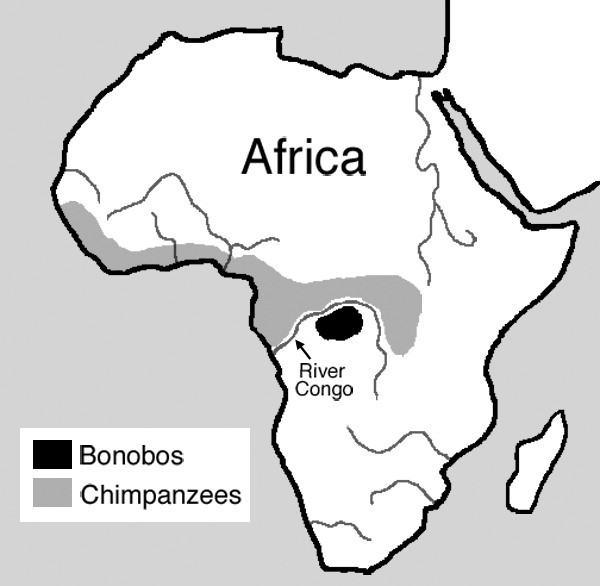 Bonobo+and+chimpanzee+locations.gif