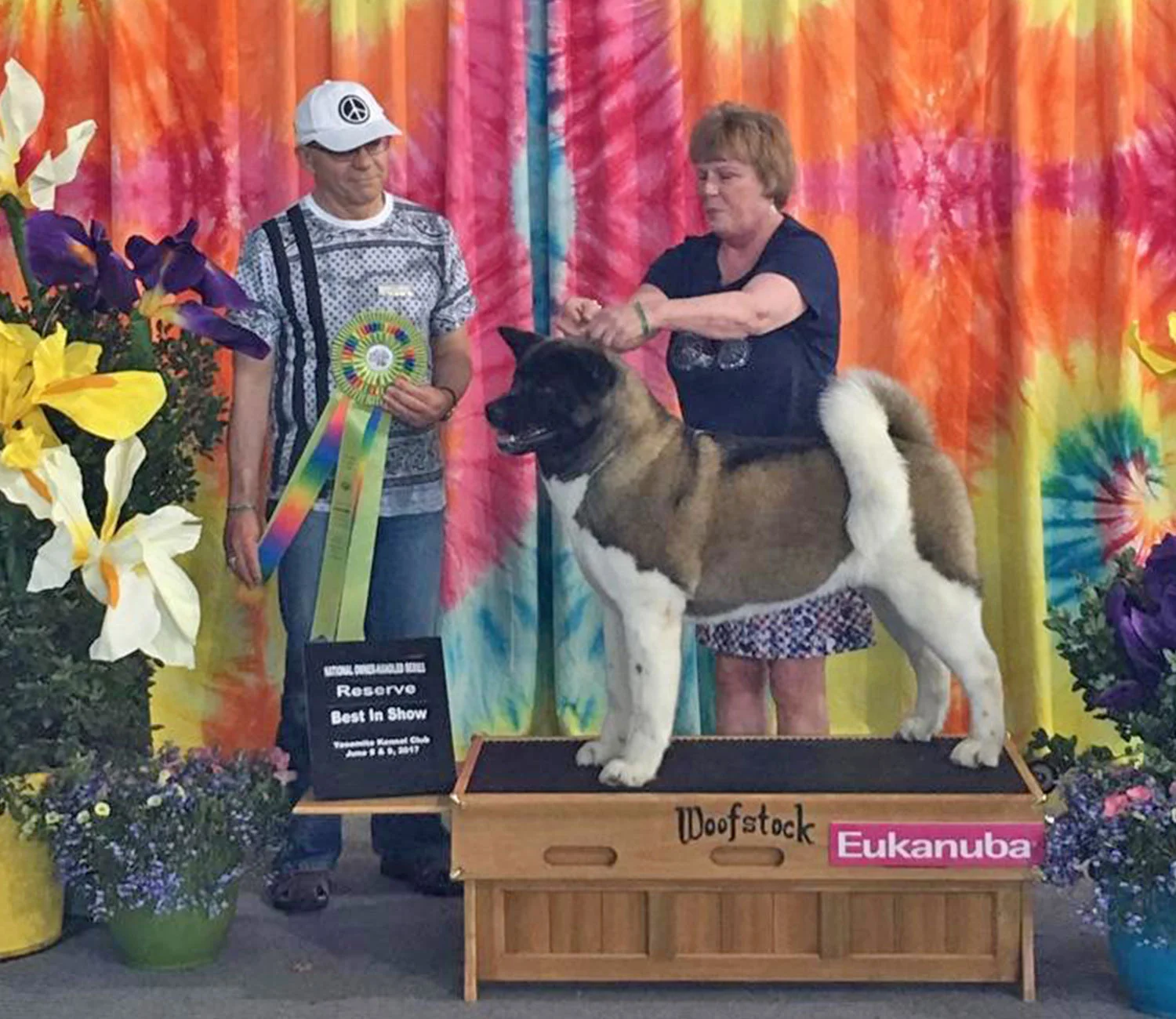 toriino-akitas-sizzle-best-2017.jpg