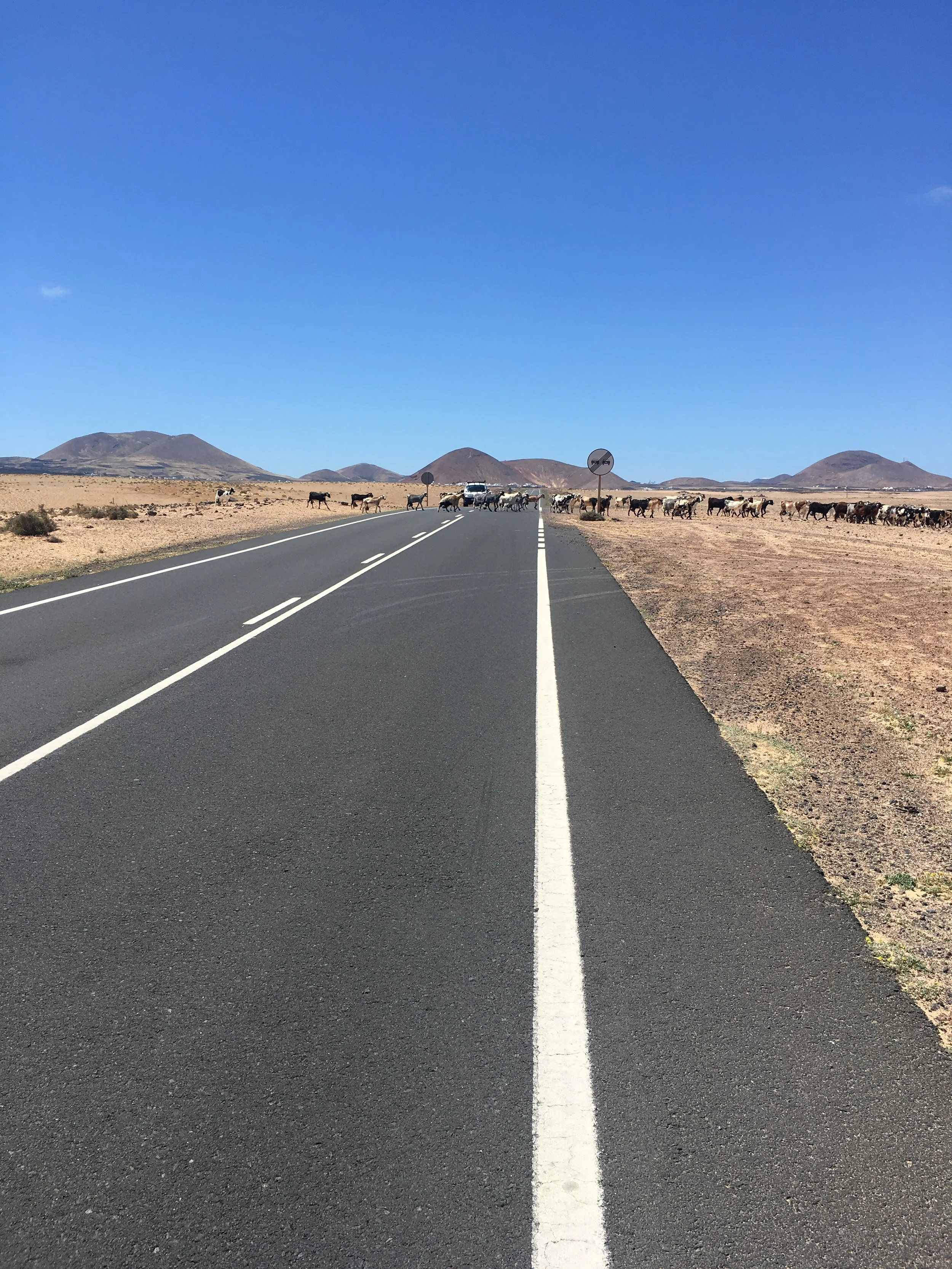 Træthed midt i sæsonen??