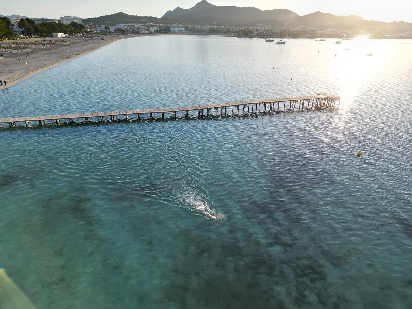 Hvem dr&oslash;mmer om de l&aelig;kre morgener med open water sv&oslash;m??

Det g&oslash;r vi for s&aring; har vi ogs&aring; en undskyldning for at tage Sailfish v&aring;ddragten p&aring; og give den gas🔥🔥🔥

#sailfishtriathlon #uperformcoaching #