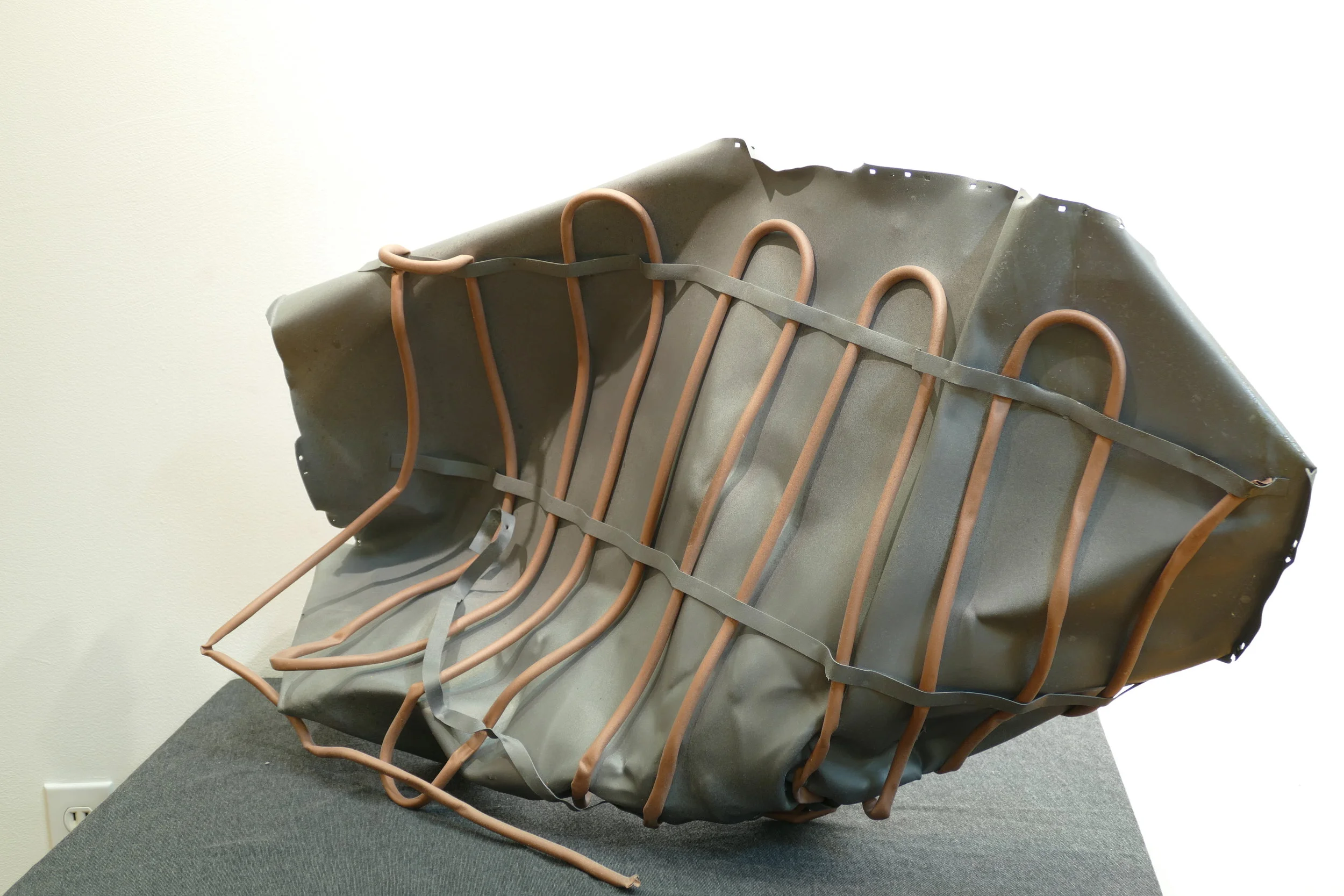 fish out of water.JPG