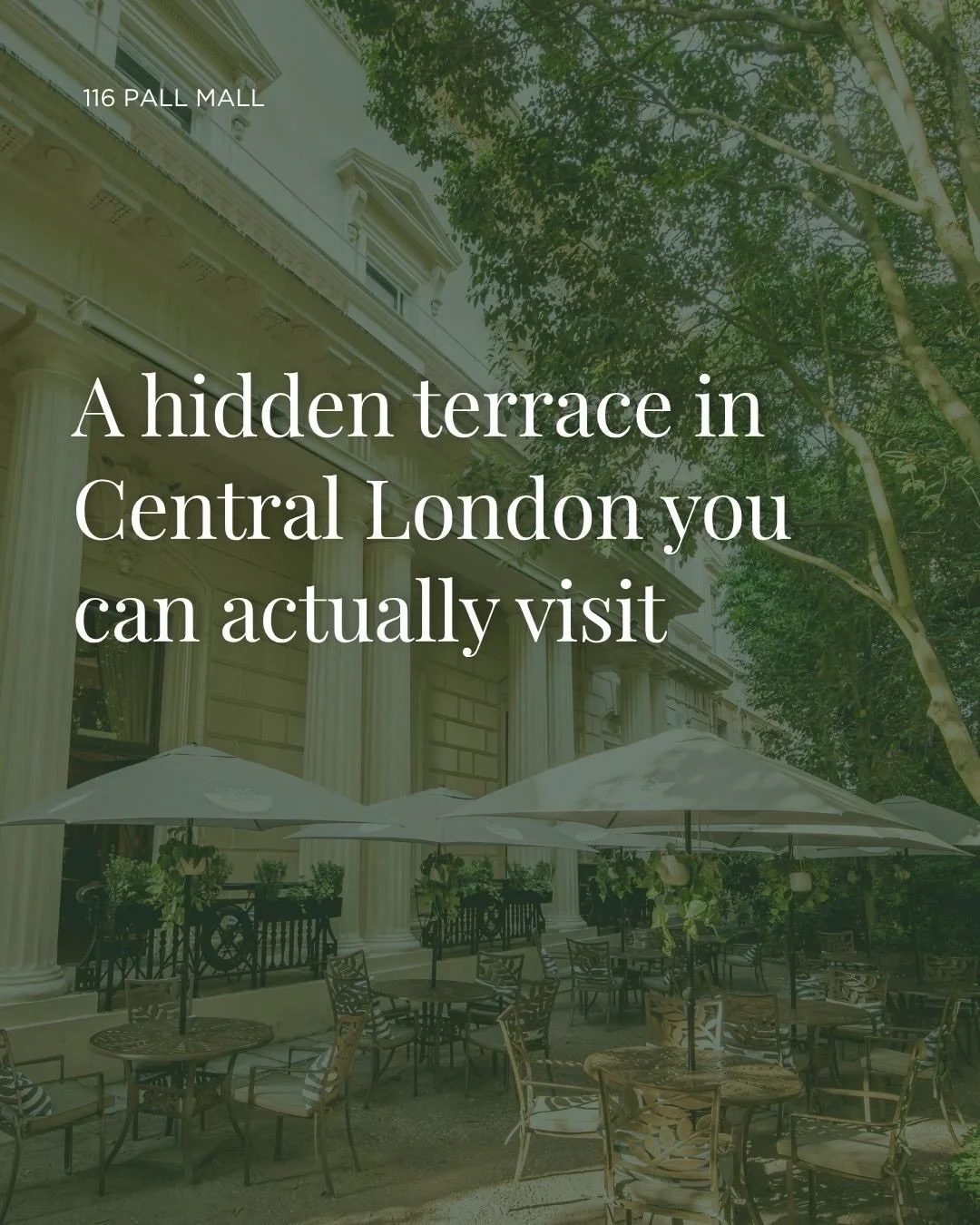 Hidden in the heart of London 🌿🇬🇧

Step beyond the doors of 116 Pall Mall and discover our terrace and garden, a tucked-away escape where historic elegance meets lush greenery. The perfect hidden spot to unwind, connect and soak up the city from a