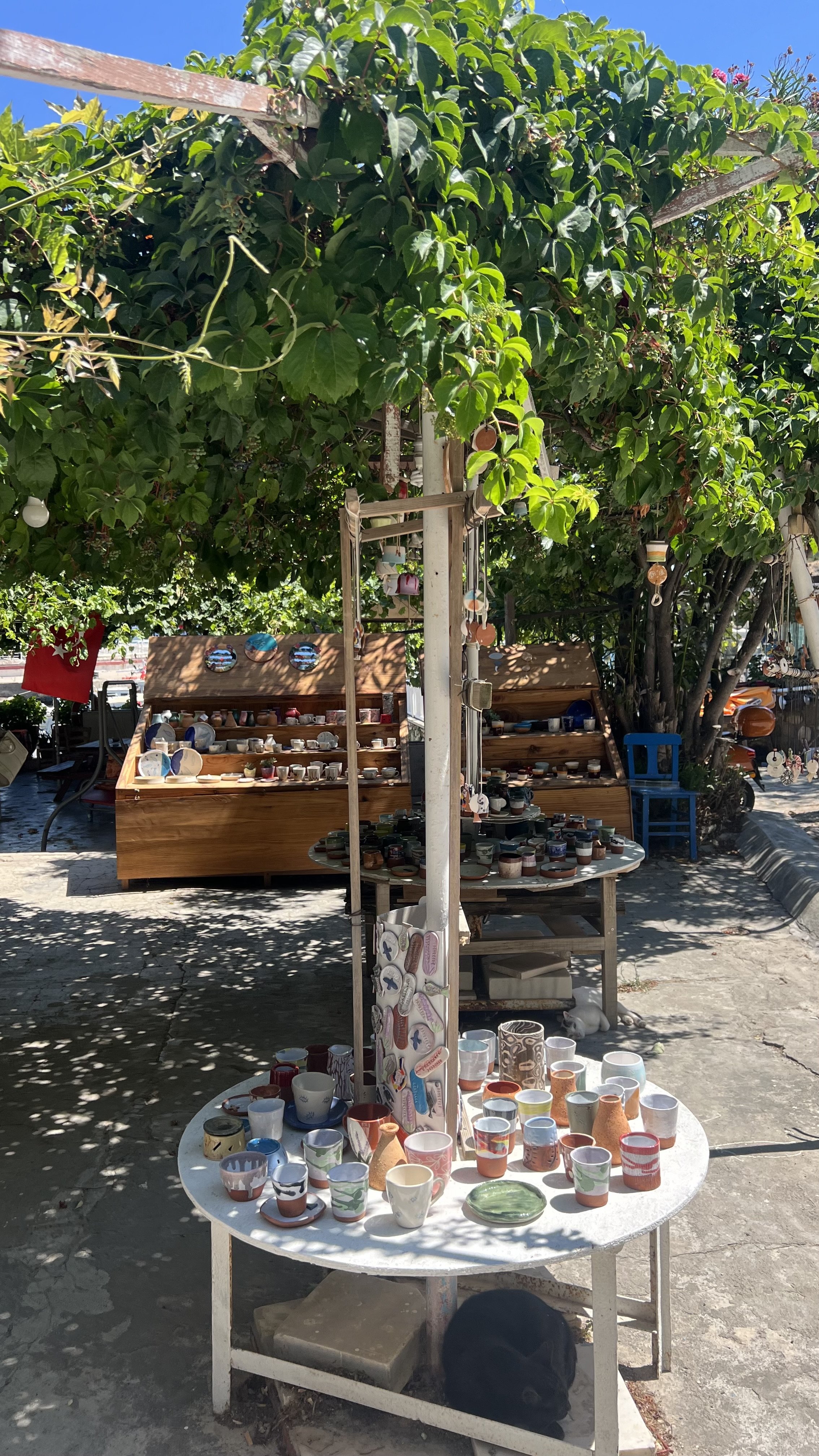 IMG_8348.jpeg