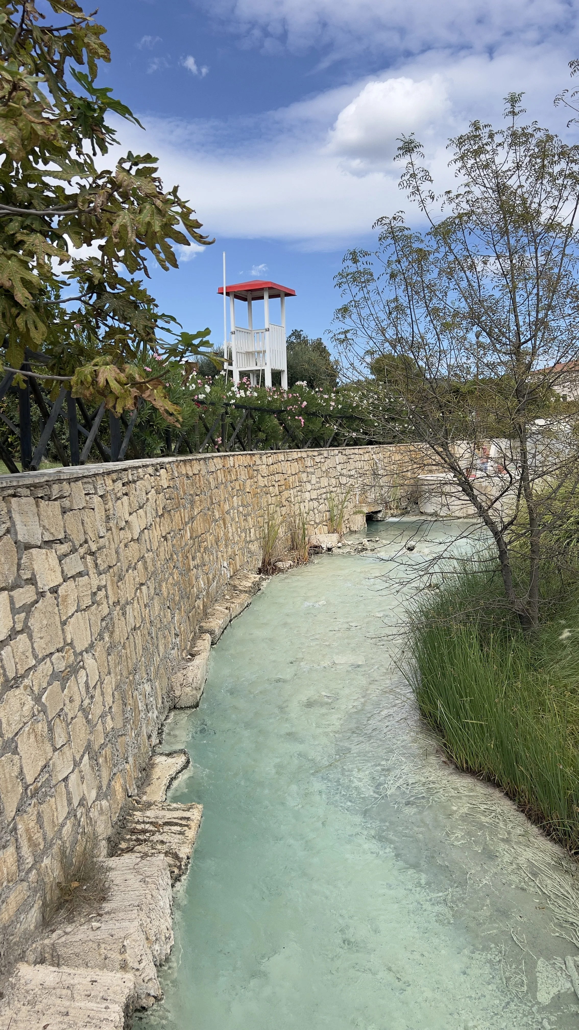 IMG_0808.jpeg
